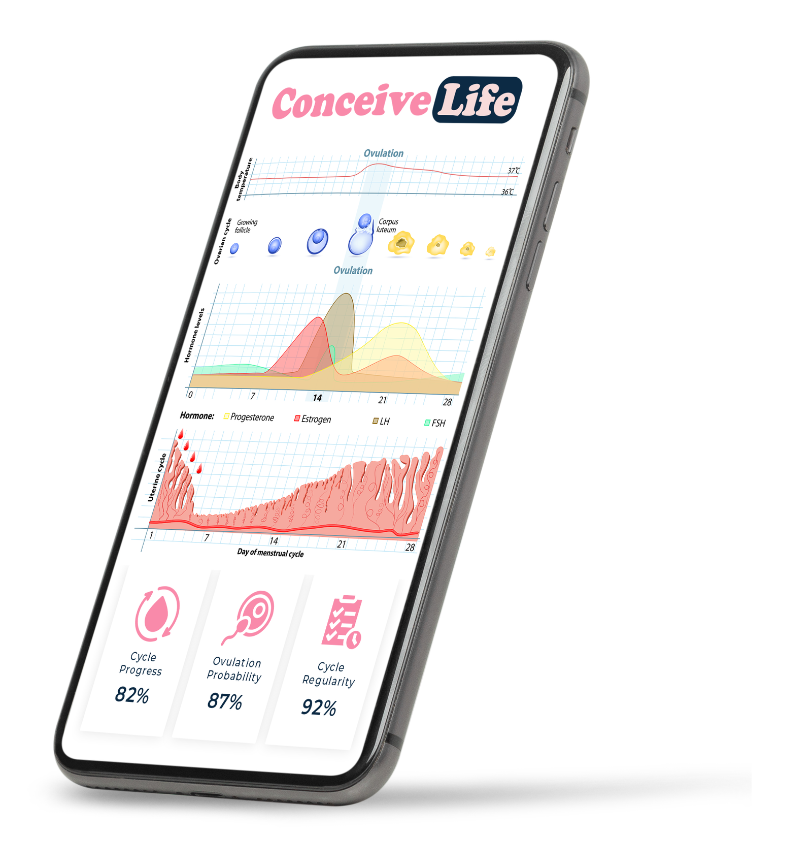 90-Day Fertility Tracker